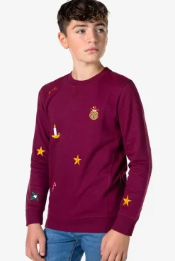 OppoSuits X-Mas Icons - Burgundy^Teen Boys Sweaters