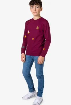 OppoSuits X-Mas Icons - Burgundy^Teen Boys Sweaters